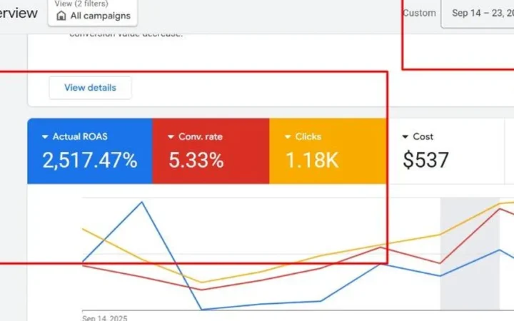 Google Ads results: Raising an Online Store’s ROAS From 17× to 25× on Google Ads