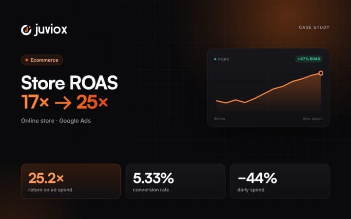 Case study: Raising an Online Store’s ROAS From 17× to 25× on Google Ads
