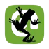 screaming_frog